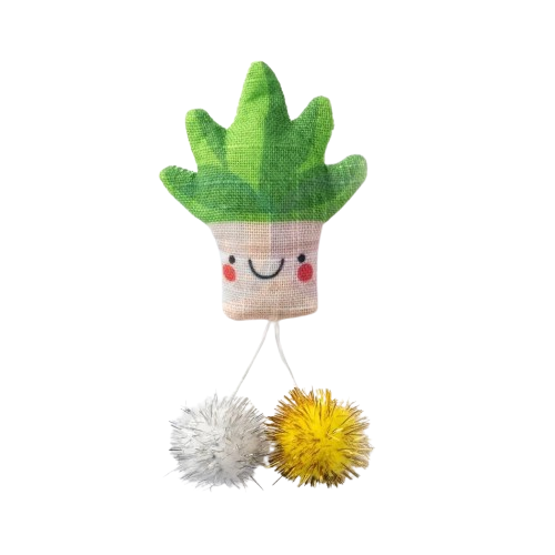 Aloe Vera Mexicain en Tissu avec Herbe à Chat