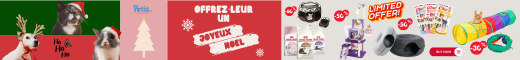 Amore Mio Couches pour chien et chat – Couche hygiéniques, Taille M