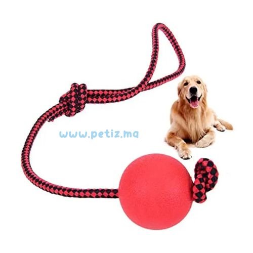 Balle de dressage de chien en laisse – Jouet d’exercice et de récompense