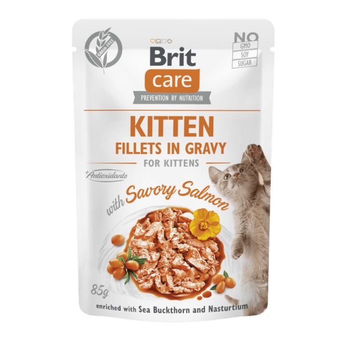 Brit Care Kitten Filets au Saumon en Sauce | Pâtée Sans Céréales pour Chaton