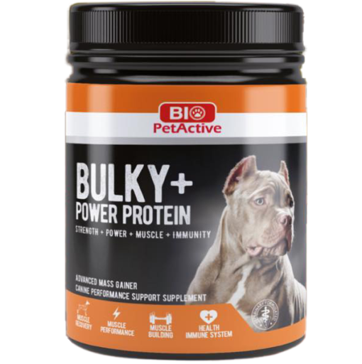 Bulky + Power protein (Supplément de soutien aux performances canines)