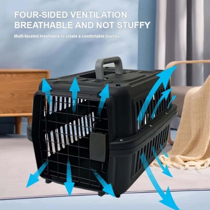 Cage de Transport pour Chat et Petit Chien 50 x 31 x 31 cm – Caisse de Voyage Robuste pour Voiture, Avion et Transport Quotidien