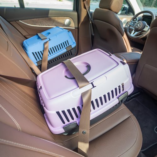 Cage de Transport pour Chat & Petit Chien – Solide et Pratique