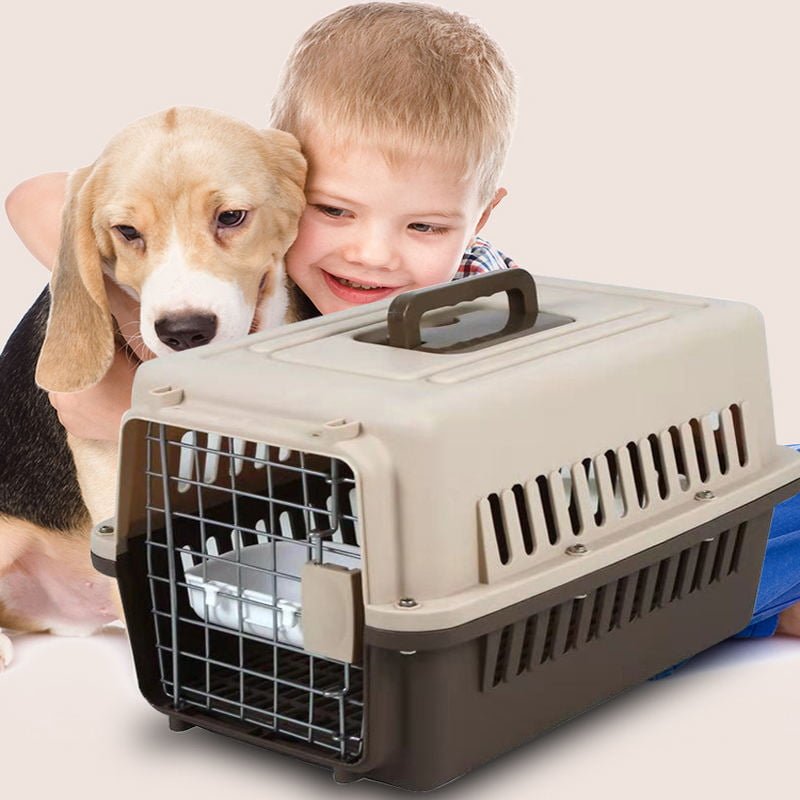 Caisse, Box, Cage de transport pour petit Chien, Chat, Porte Métallique, Clips, Séparateur d’urine et Loquet de Sécurité.