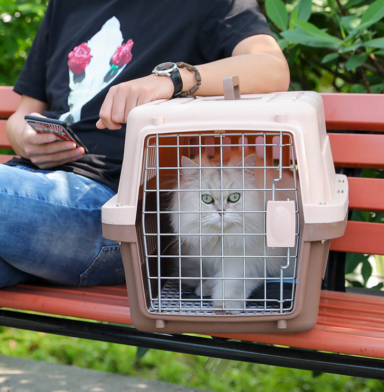 Caisse, Box, Cage de transport pour petit Chien, Chat, Porte Métallique, Clips, Séparateur d’urine et Loquet de Sécurité.