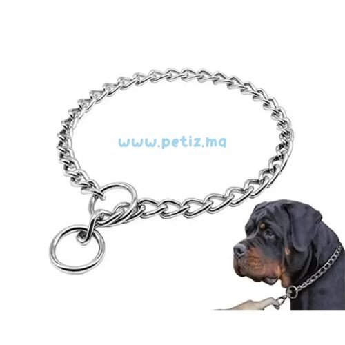 Chaîne étrangleur pour chien en métal