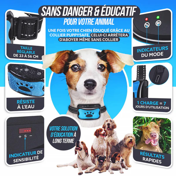 Collier anti-aboiement électrique efficace pour toute race de chien