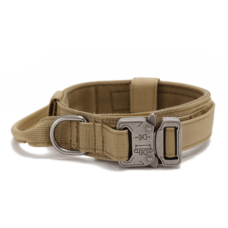 Collier tactique à boucle métallique pour Chien