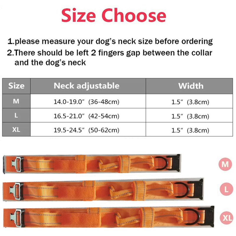 Collier tactique à boucle métallique pour Chien