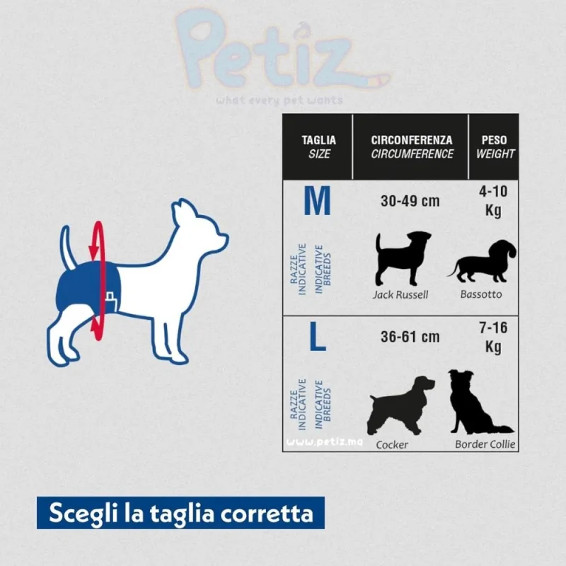 Amore Mio Couches pour chien et chat – Couche hygiéniques, Taille M