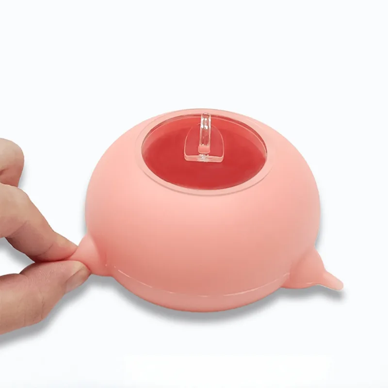 Biberon pour chaton en silicone avec 4 mamelons et chiots nouveaux-nés