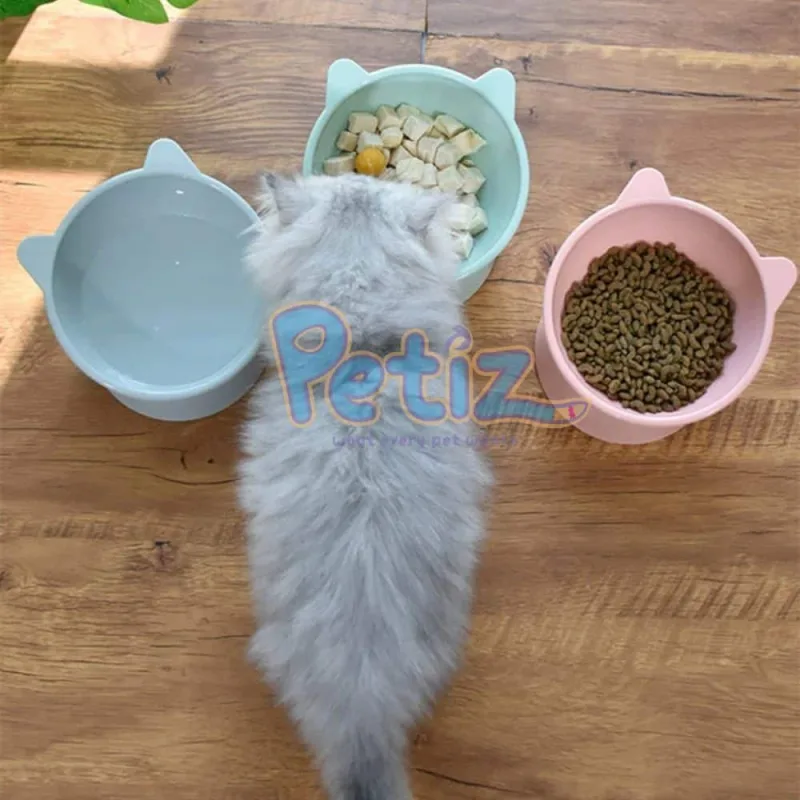 Bol incliné surélevé gamelle pour chat
