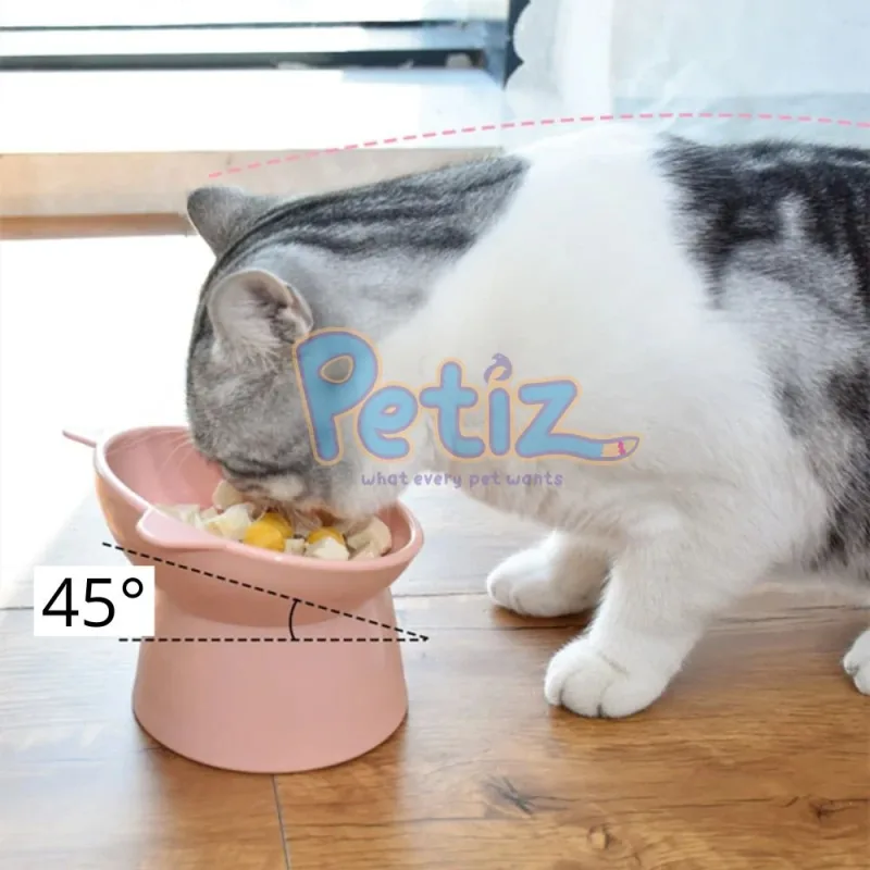 Bol incliné surélevé gamelle pour chat