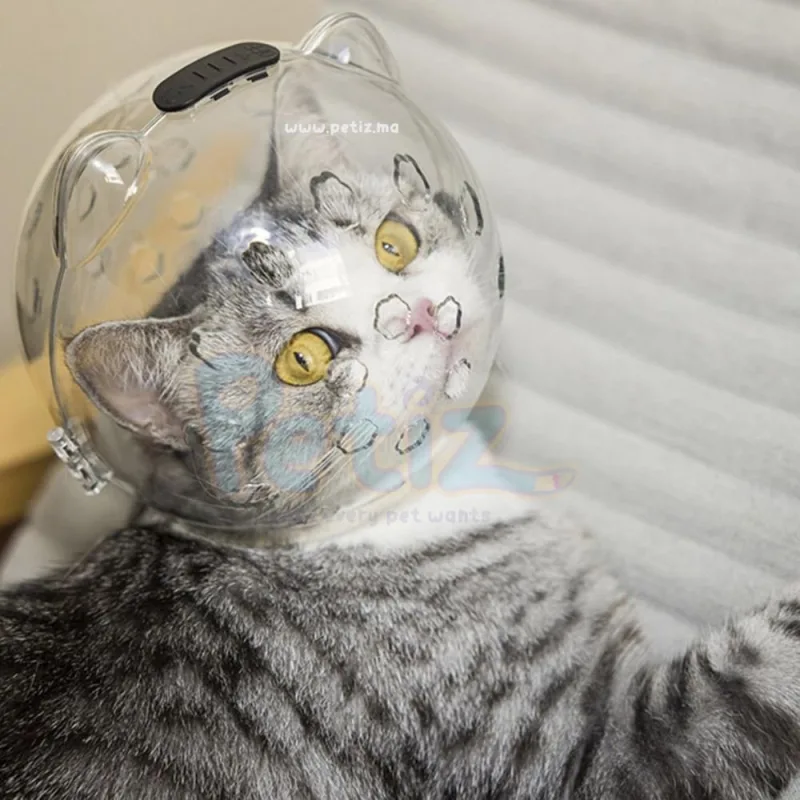Casques de toilettage pour chats – Protection sécurisée et confort optimal pour le toilettage des chats à domicile et en salon
