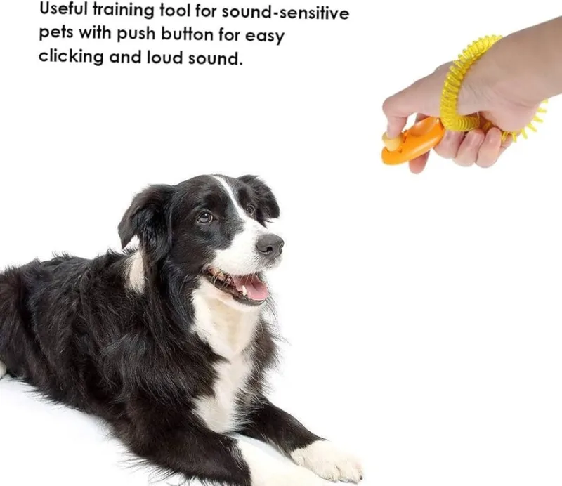 Clicker d’entraînement pour chiot et chien