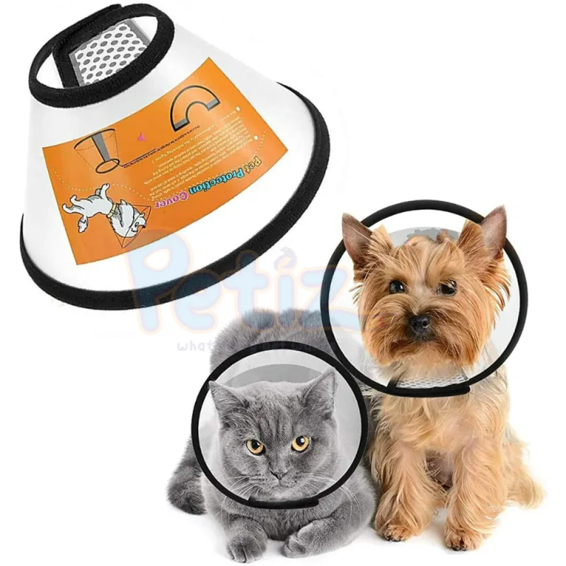Collerette de Récupération en Plastique – Chat et Petit Chien – Protection Confortable et Sûre après Opération, Blessure ou Traitement Dermatologique – Taille M pour Animaux de 6 à