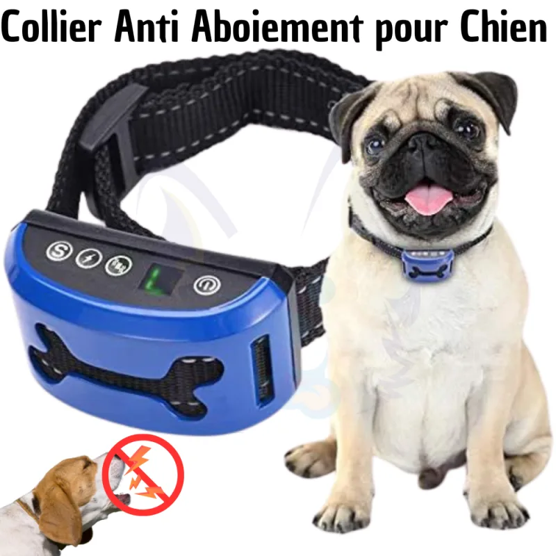 Collier anti-aboiement électrique efficace pour toute race de chien