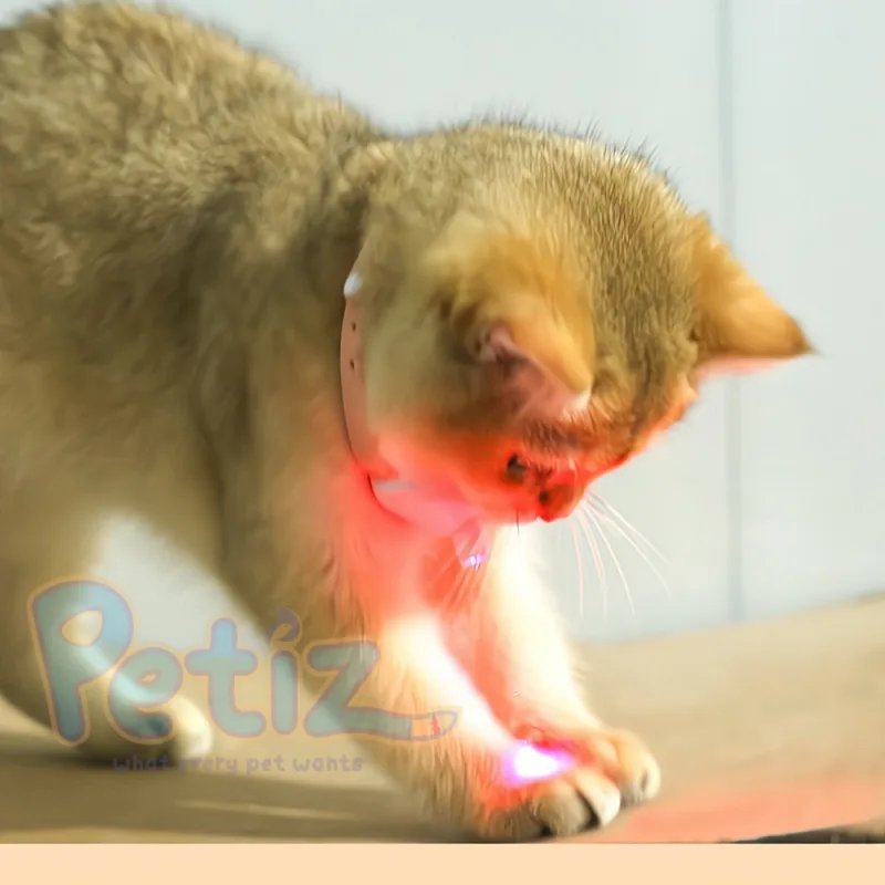 Collier Laser Interactif pour Chat – Jouet Automatique à Faisceau Lumineux pour Stimulation et Activité Physique
