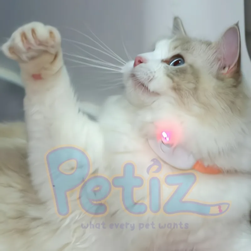 Collier Laser Interactif pour Chat – Jouet Automatique à Faisceau Lumineux pour Stimulation et Activité Physique