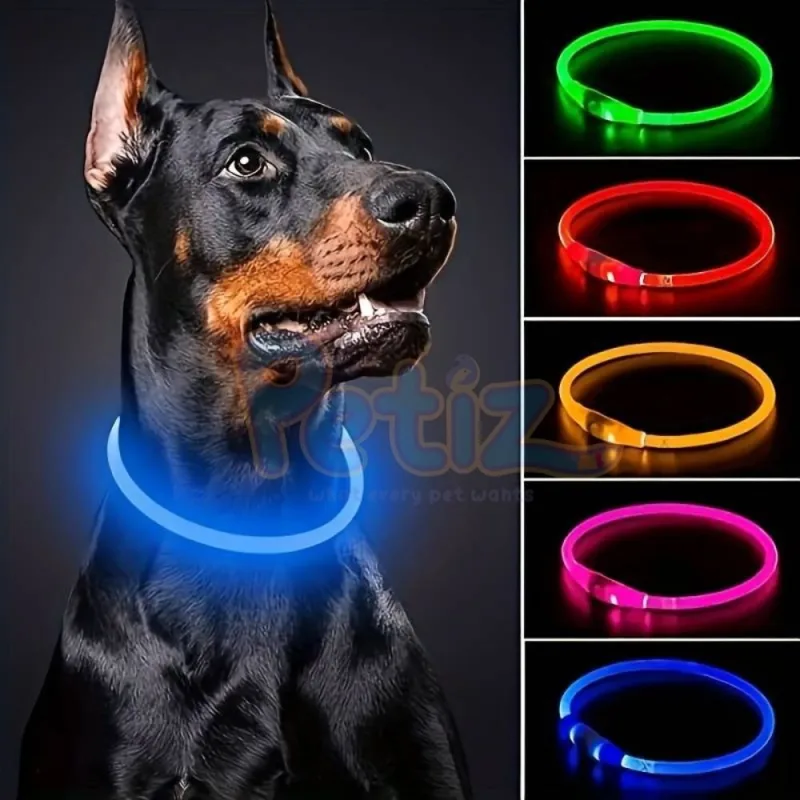 Collier LED pour chien et chat anti-perte accessoire de prévention de la perte de nuit pour animaux de compagnie, avec chargeur USB