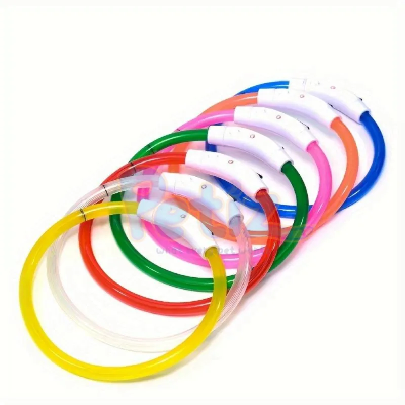 Collier LED pour chien et chat anti-perte accessoire de prévention de la perte de nuit pour animaux de compagnie, avec chargeur USB