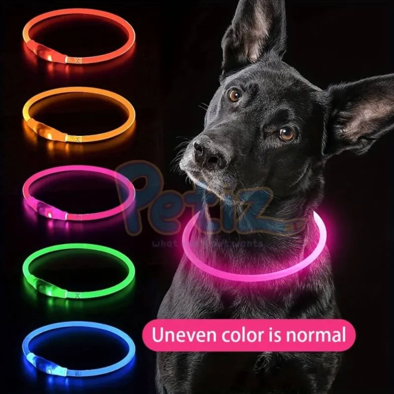 Collier LED pour chien et chat anti-perte accessoire de prévention de la perte de nuit pour animaux de compagnie, avec chargeur USB