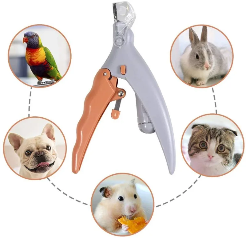 Coupe Griffe chien avec led sans accident avec loupe X5, idéal pour couper les griffes des chats et des chiens