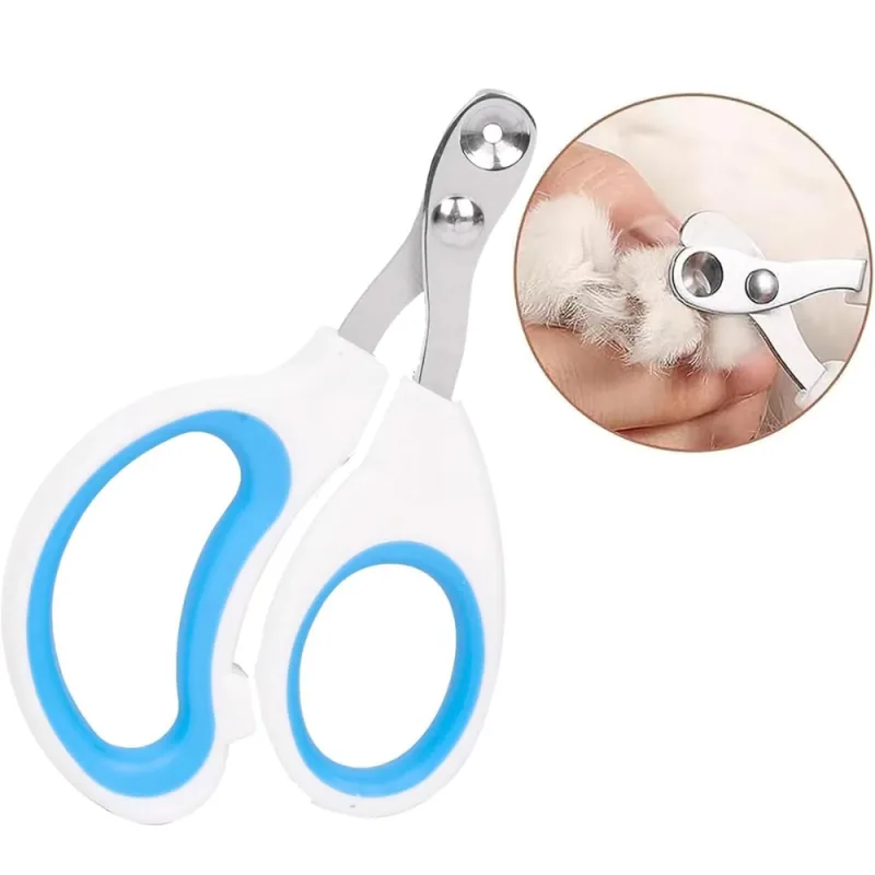 Coupe Griffes pour Chat Angle Toilettage et Petit Chien