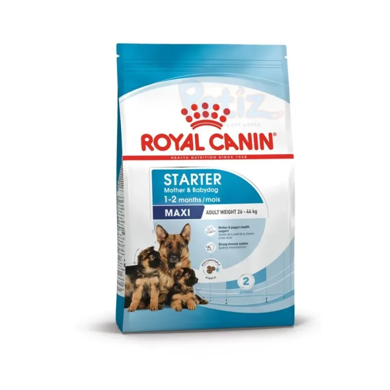 CROQUETTES MAXI STARTER ROYAL CANIN pour chiennes en gestation/allaitement et chiots de grande taille jusqu’à 2 mois