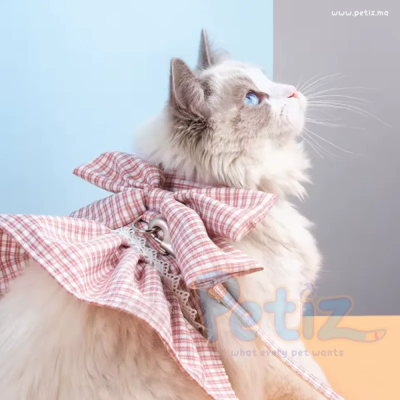 Ensemble de Robe et Laisse pour Chiens et Chats
