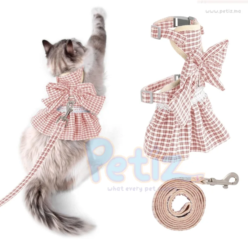 Ensemble de Robe et Laisse pour Chiens et Chats