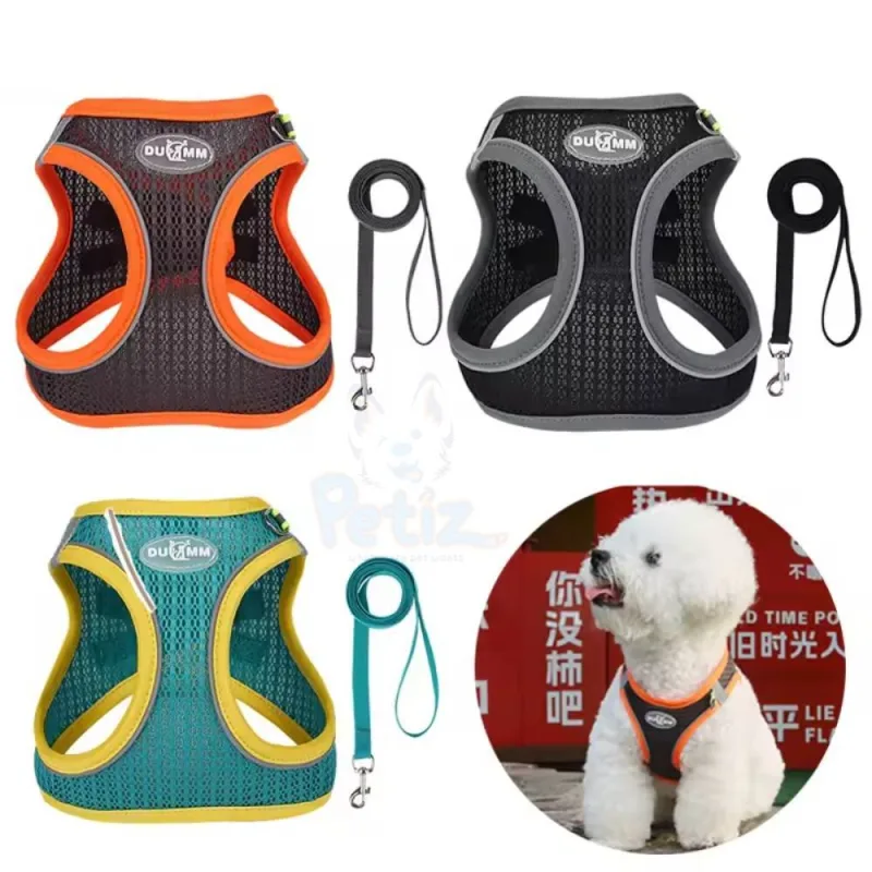 Ensemble Harnais et Laisse pour Petit Chien – Gilet Réglable Respirant pour Chiot, Chat, Bouledogue Français, Carlin, Chihuahua – Marche en Plein Air