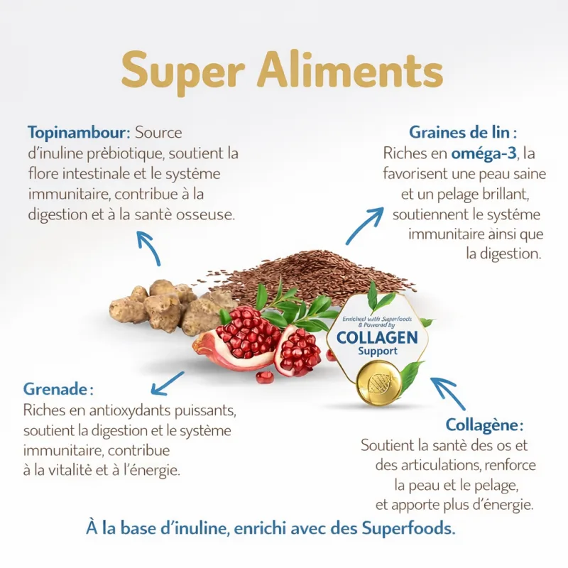 Felicia Urinary Care Sterilised – Aliment super premium complet pour chats stérilisés (Poulet, )