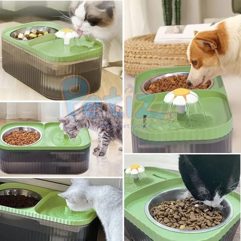 Fontaine à eau 2 en 1 pour chat avec bol en inox – Hydratation et repas simplifiés pour votre félin