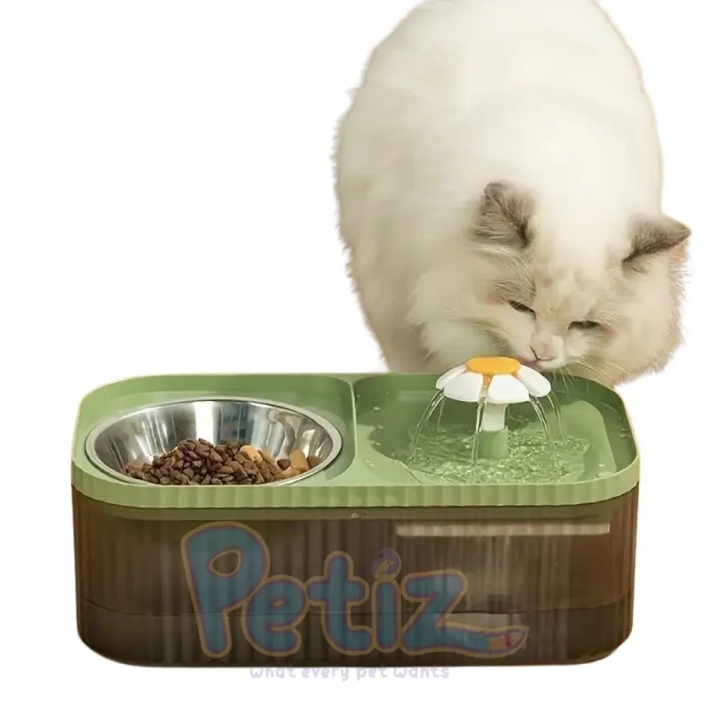 Fontaine à eau 2 en 1 pour chat avec bol en inox – Hydratation et repas simplifiés pour votre félin