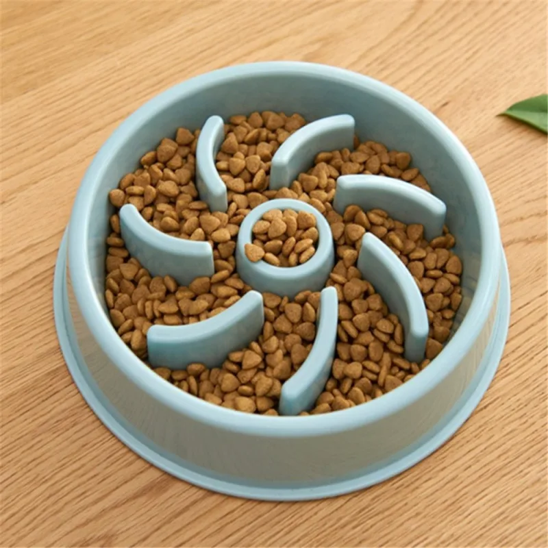 Gamelle Anti-Glouton pour Chiens et Chats