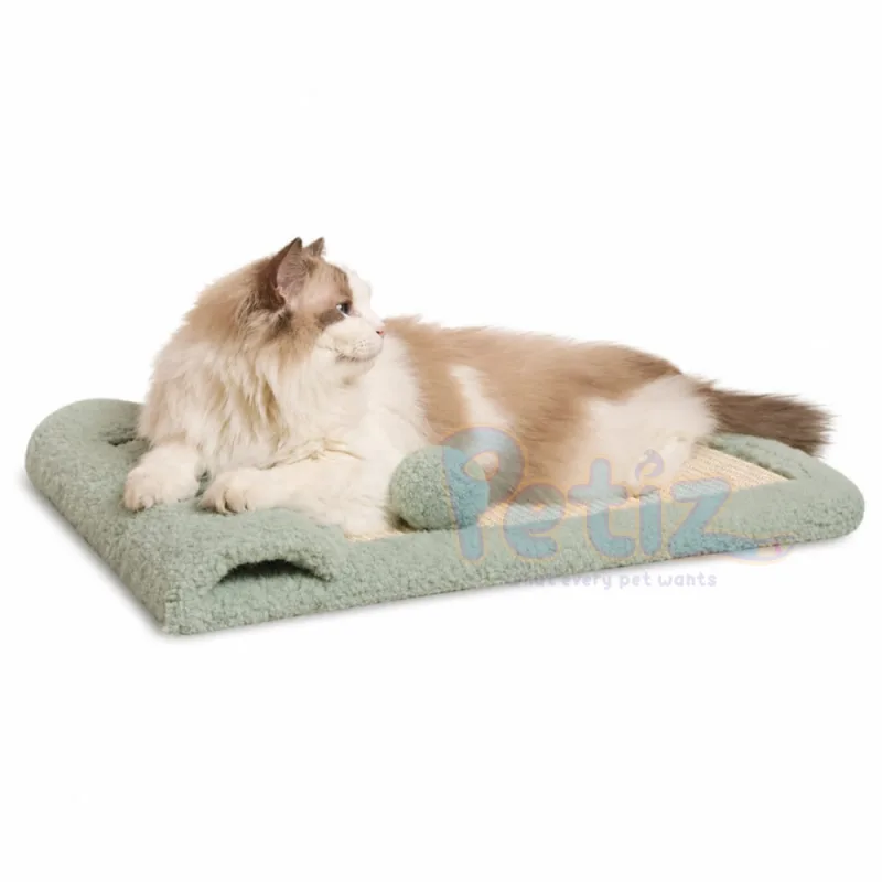 Griffoir Mural pour Chat en Sisal avec 2 Balles Suspendues – 58 × 37 cm – Grattoir Mural Résistant