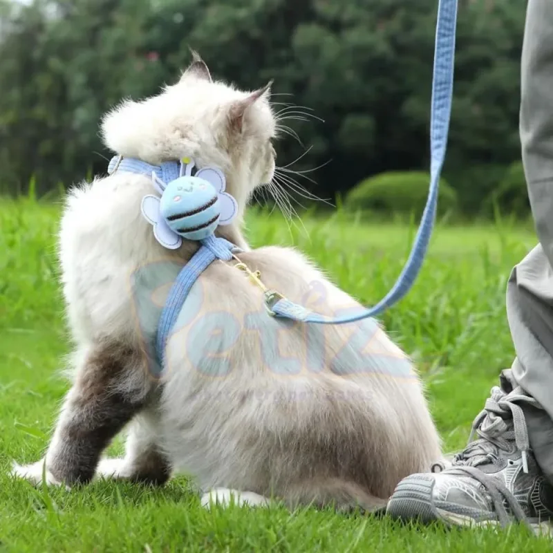 Harnais pour chat Mignon En Forme D’abeille, Harnais Anti-évasion