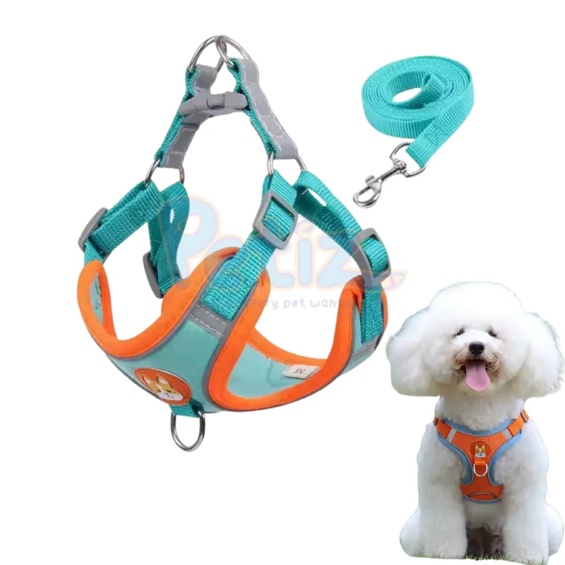 Harnais pour Chien et Chat Avec Laisse – No Pull, Réfléchissant, Ajustable