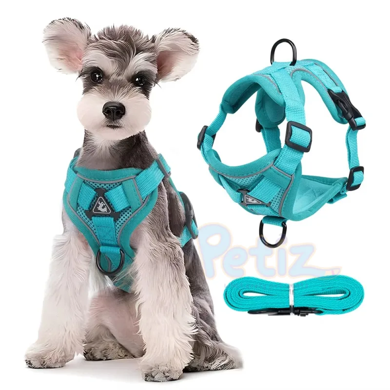 Harnais Premium pour Chien et Chat – Élégant, Confortable et Ajustable avec Couleurs Chic et Tendance pour Promenades Sécurisées