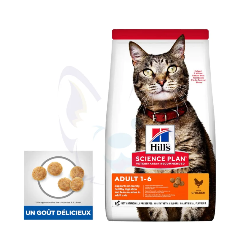 Hill's Science Plan Chat Adult Chicken Croquettes pour Chats Adultes Masse musculaire Saveur irrésistible Hills