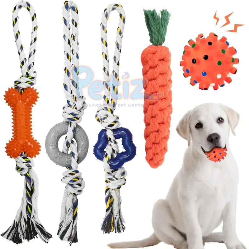 Jouet à Mâcher pour Chiot et Petit Chien – Corde Tressée et Caoutchouc Souple pour Dents Saines et Jeu Actif