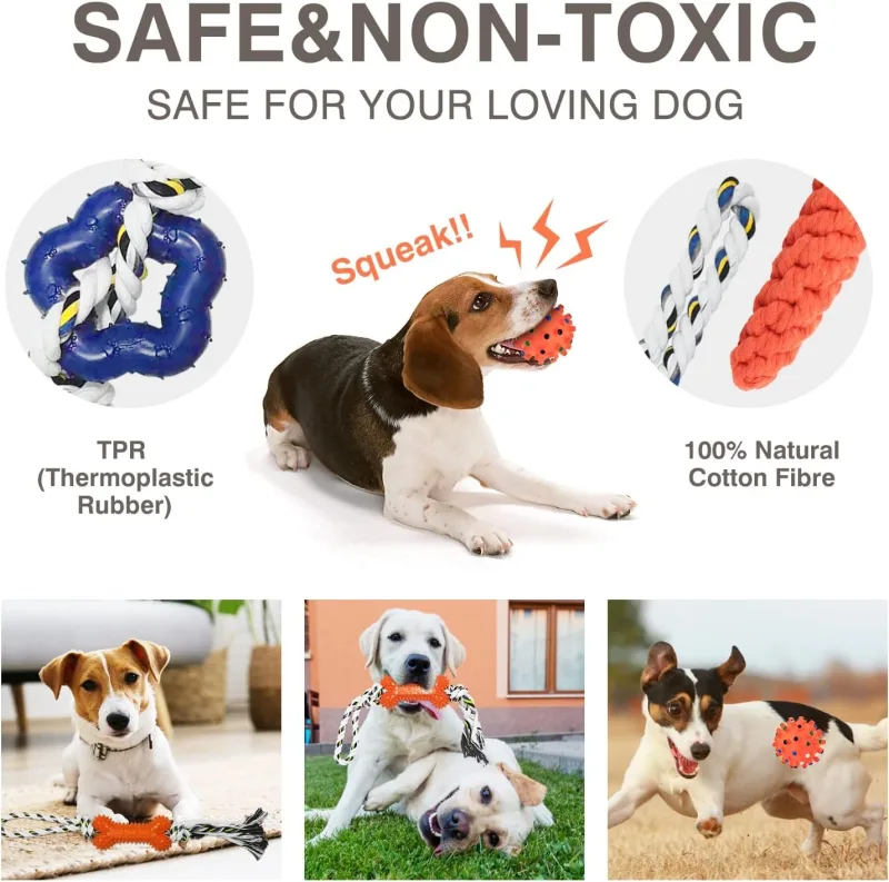 Jouet à Mâcher pour Chiot et Petit Chien – Corde Tressée et Caoutchouc Souple pour Dents Saines et Jeu Actif