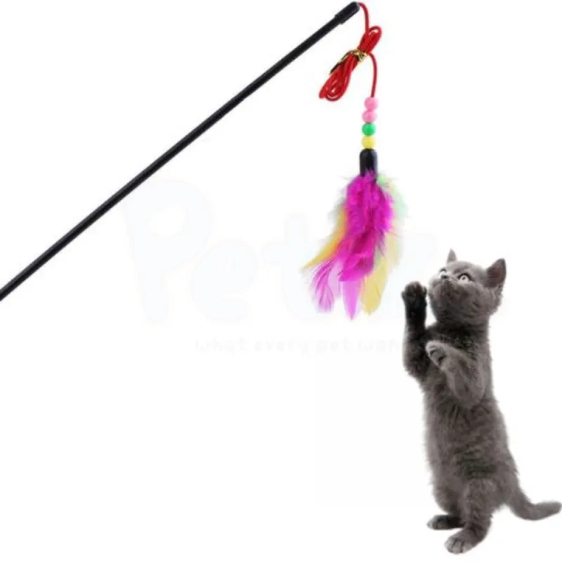 Jouet Chat Chaton – Canne à pêche