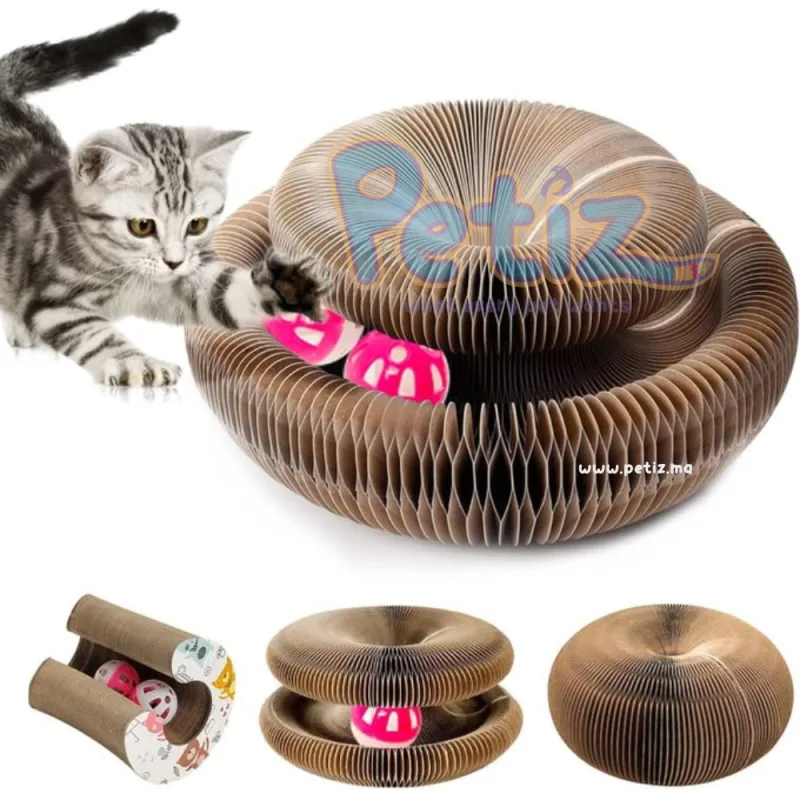 Jouet Griffoir Pour Chat Interactif en Carton