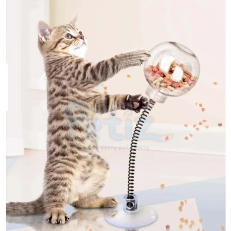 Jouet interactif pour chat Distributeur de friandises et croquettes