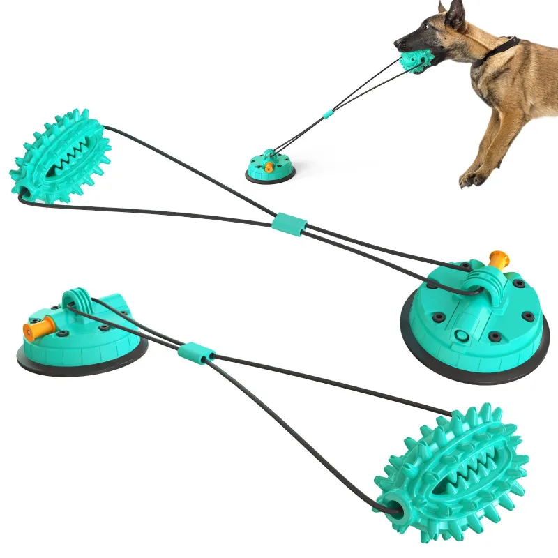 Jouet molaire pour chien avec ventouse