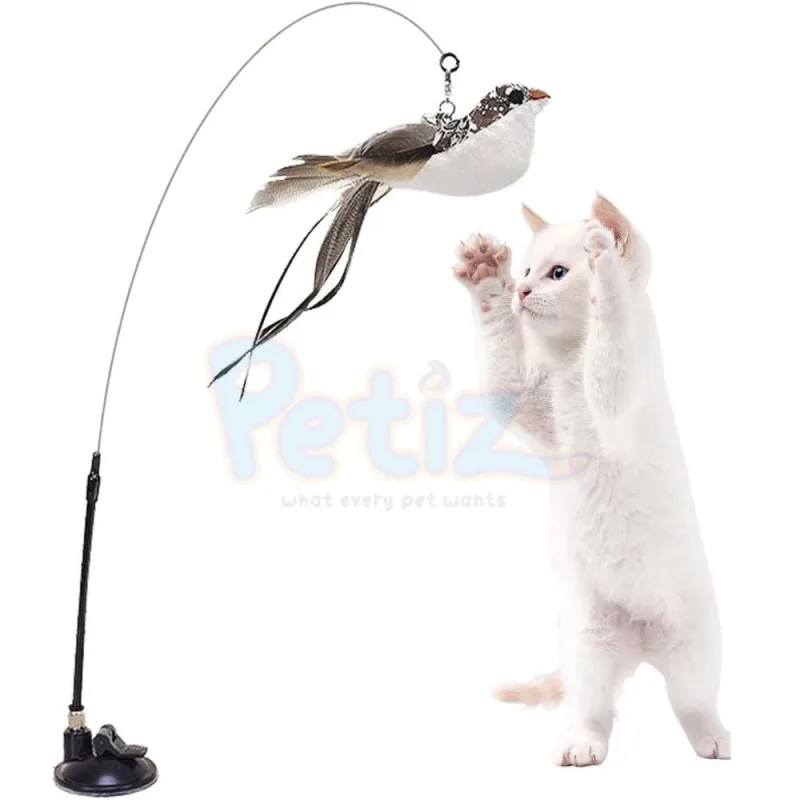 Jouet Oiseau Avec Ventouse Baguette à Plumes pour Chat – Jeu Interactif et Stimuleur d’Exercice