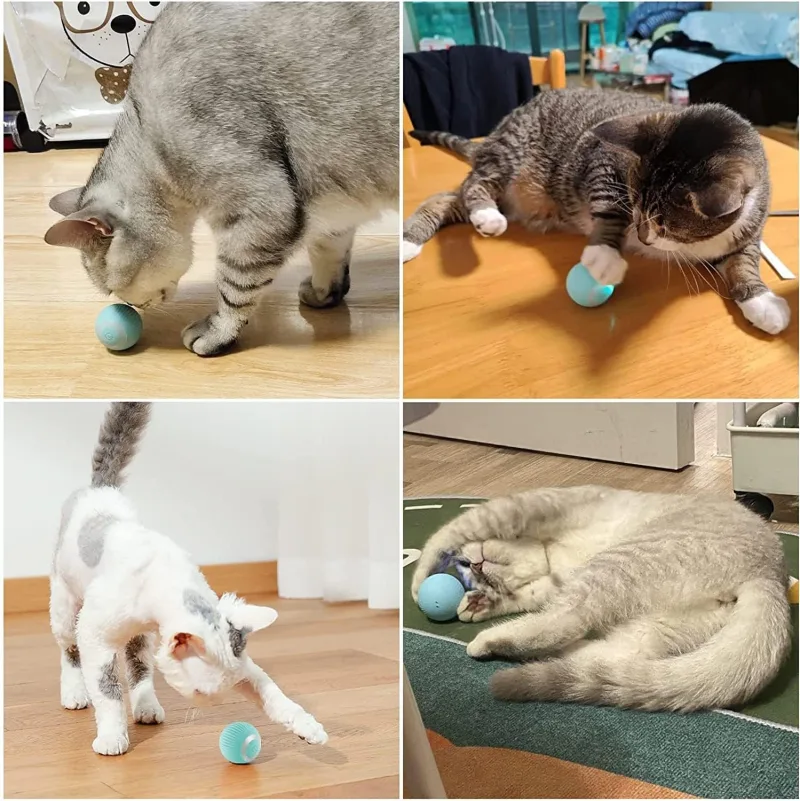 Jouet pour Chat Balle Interactive pour Chat, 360° Auto-Rotative avec Lumières LED