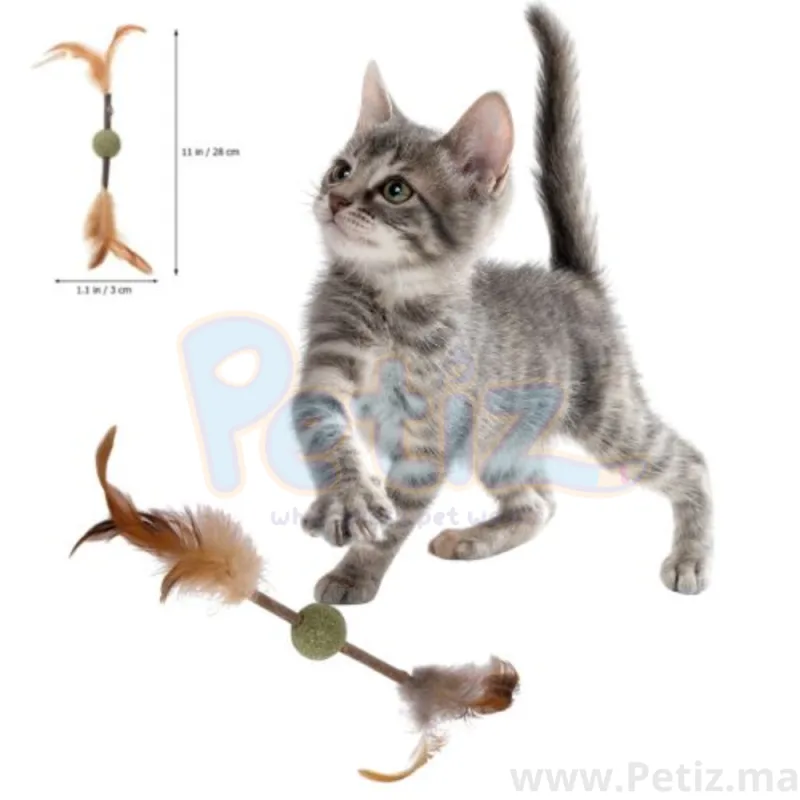 Jouet pour chat- Bâton d’herbe à chat, Jouet Nettoyage des dents de chat